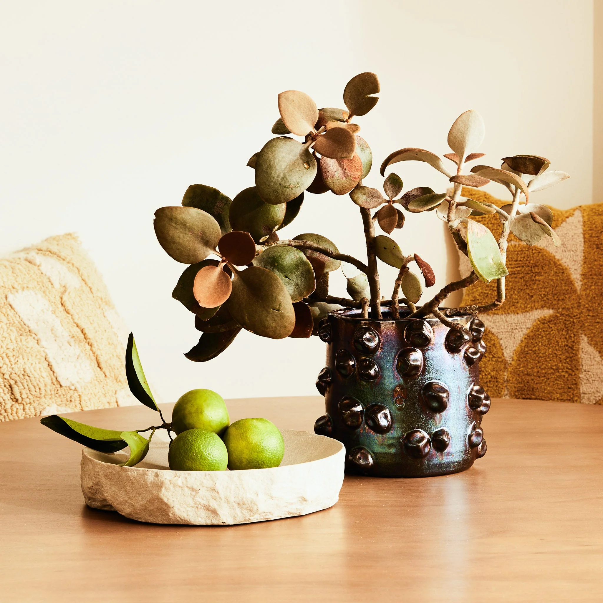 Chloe Pot - Image 4