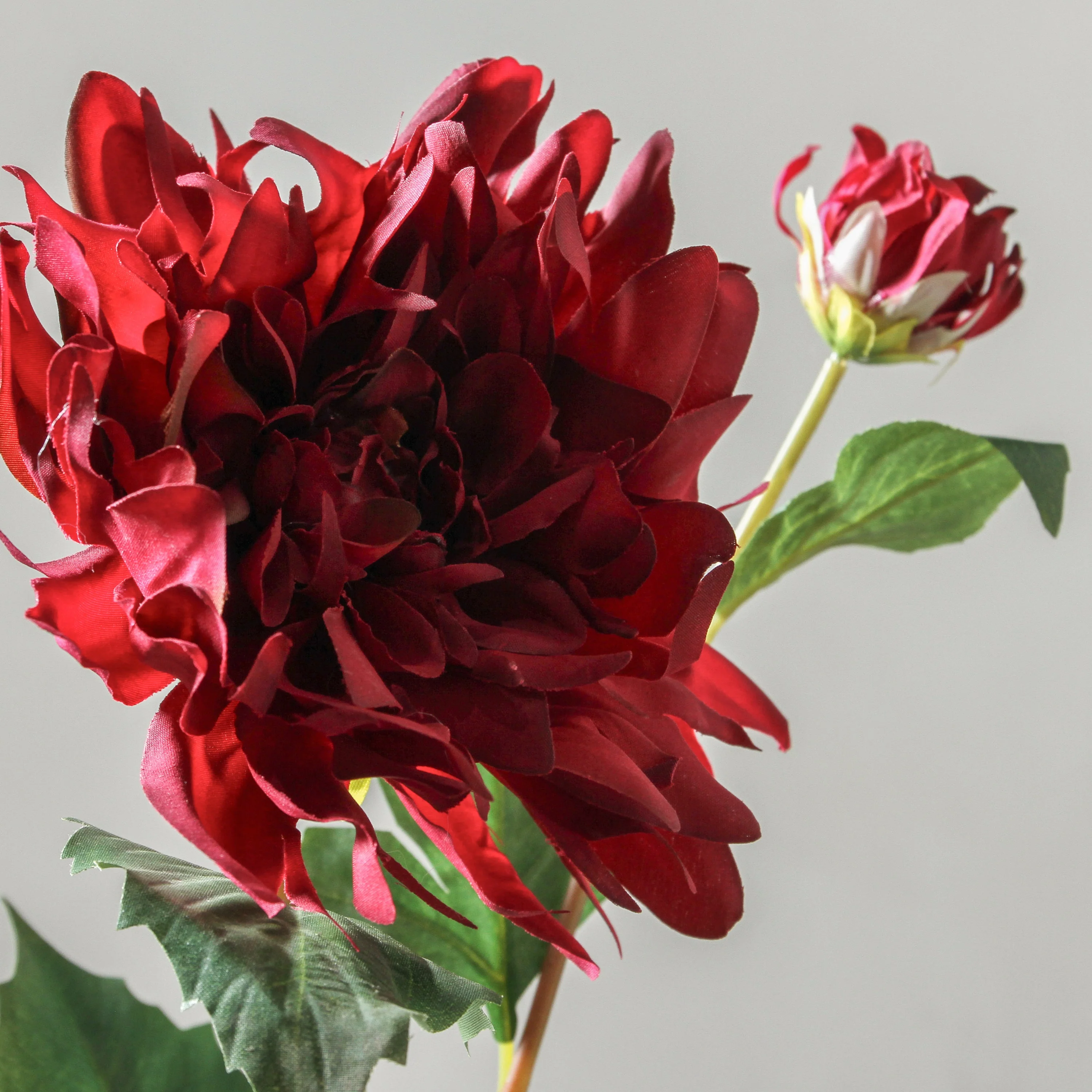 Dahlia 71cm Burgundy - Image 2