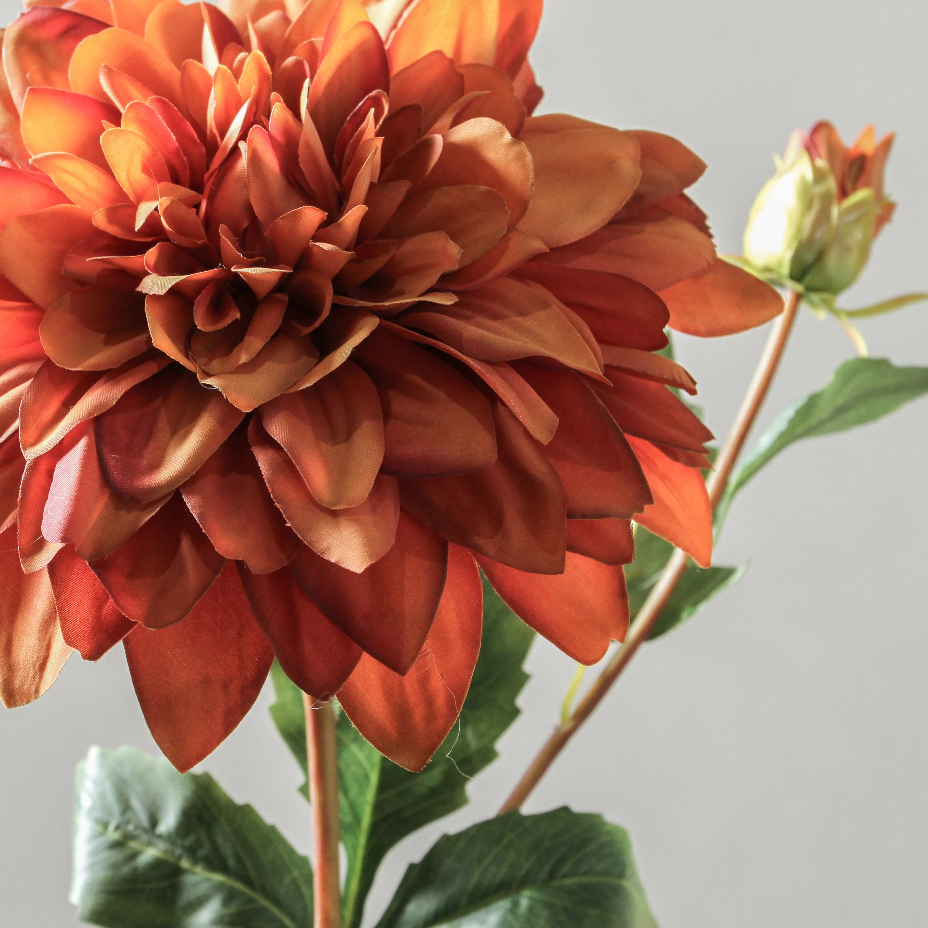 Dahlia 90cm Orange - Image 2