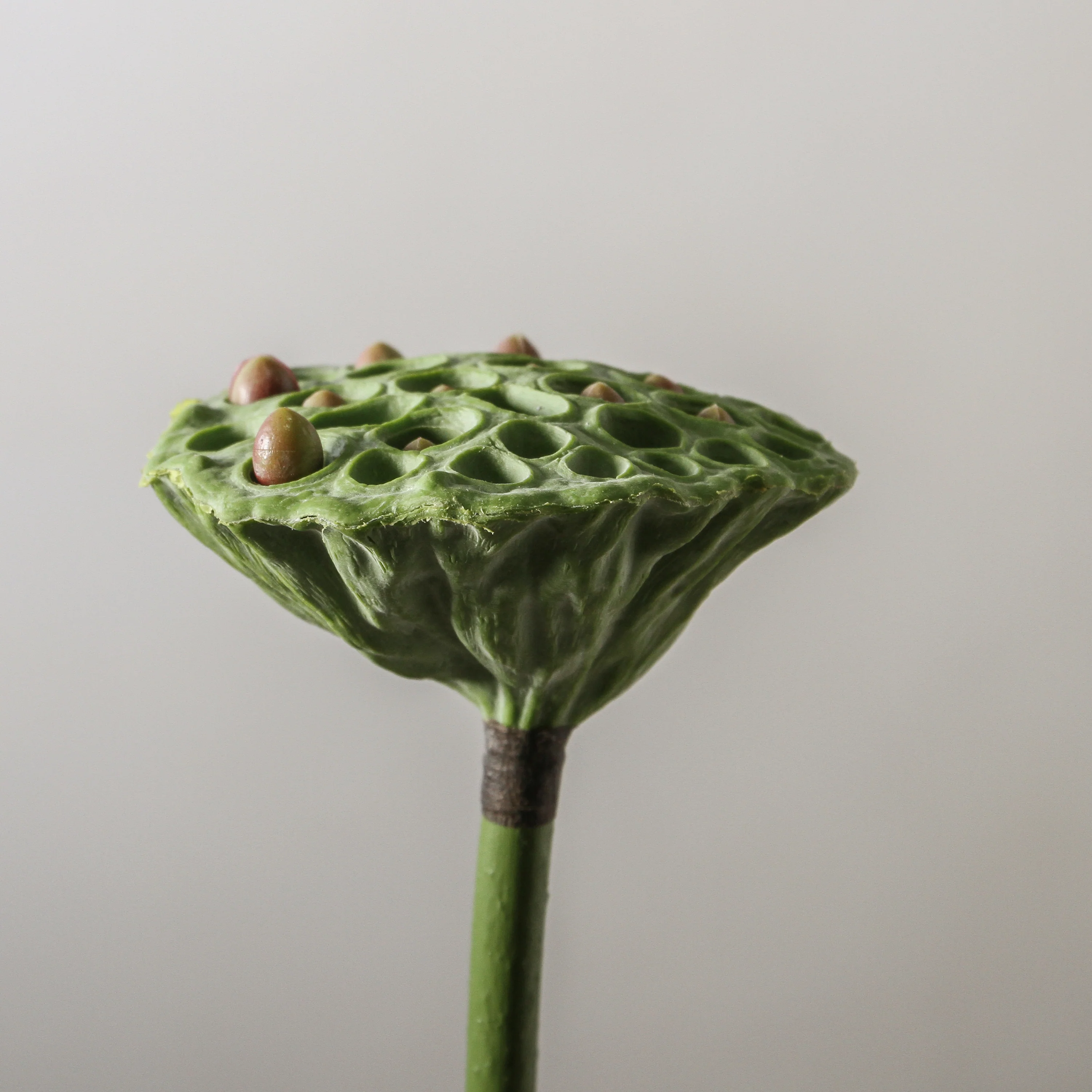 Lotus Pod - Green Burgundy 62x10cmd - Image 5