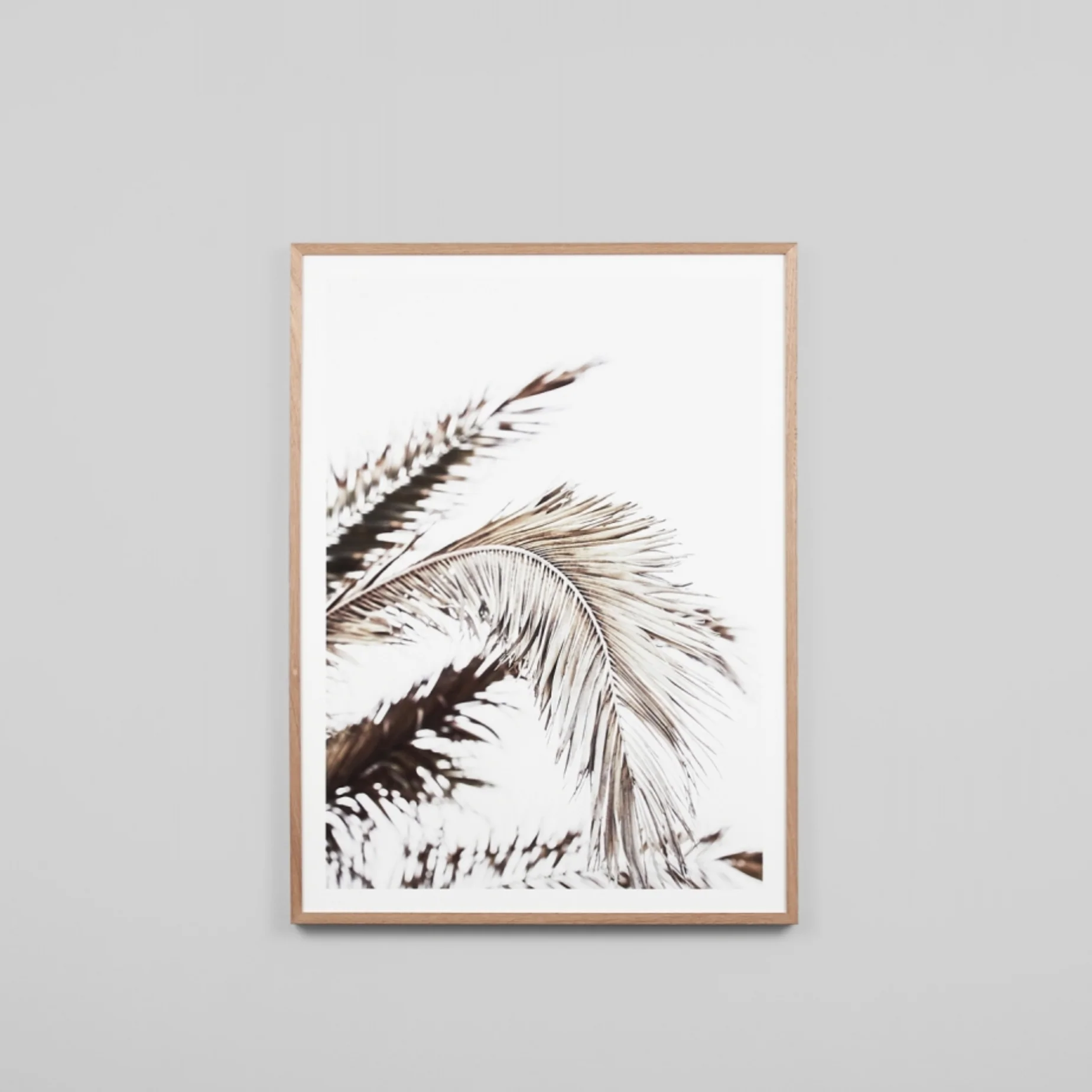 Natural Frond - Image 2